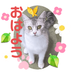 NAO_20230901214414