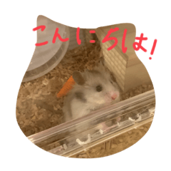 Hana_20230901215509