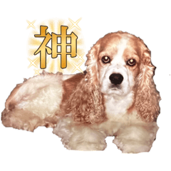kana_20230902093955