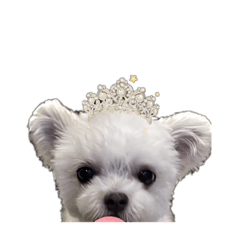 mano_20230901230637