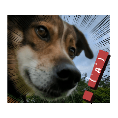 SAYURI_20230902041418