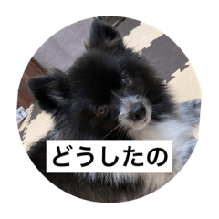 hana_20230902071626