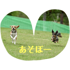 TOM+MORI_20230902120024