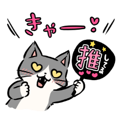 Sukehachi the Tuxedo Cat 2