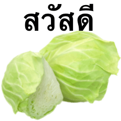 I love cabbage 2