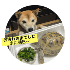 Nao_20230902135007