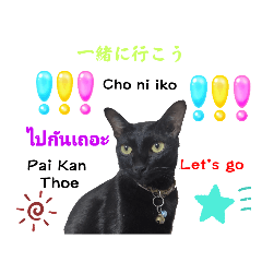 Thailand  Japan  English   modern cat2