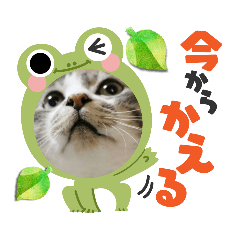 tomomi_20230902170521