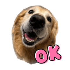 natsumi_20230902164129