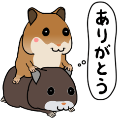 Two Cute Hamsters