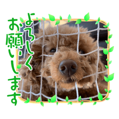 SAKURA_20230902183415