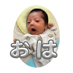 syo_20230902195524