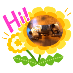 arisa_20230902213658