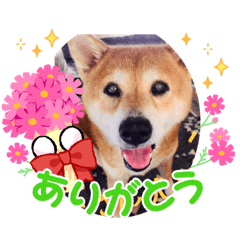 hana_20230902203602