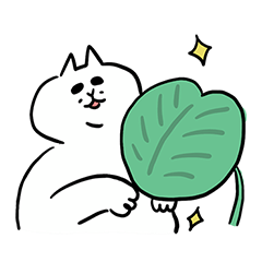 植物貓貓