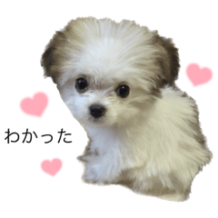 yuka_20230902201839