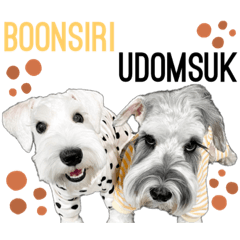 UDOMSUK & BOONSIRI