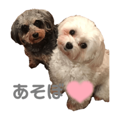 Yuka_20230902235747