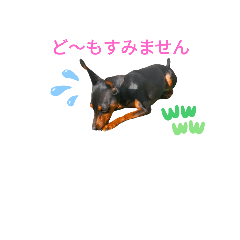 jinjin_20230903115336