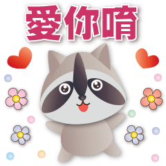 cute raccoon-Daily Practical Phrases