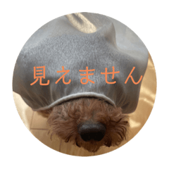 Hana_furan