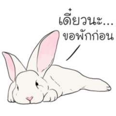 Cute White Rabbits Stickers