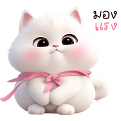 chubby gang white cat 2