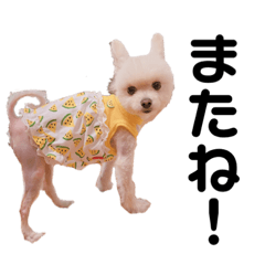 MICHIKO_20230903152147