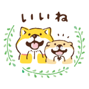 Shibanban × N organic