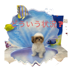 Puku_20230903162141