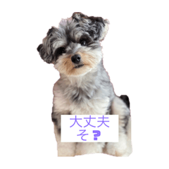 Arisa_20230903230204