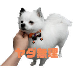 Nao_20230903200426