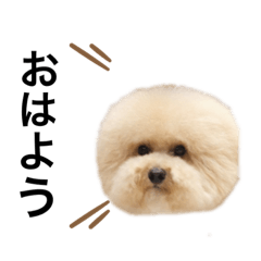 y_20230903220605