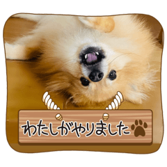 Olively