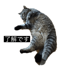 y_20230904104946
