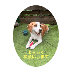 TOM+MORI_20230903214901