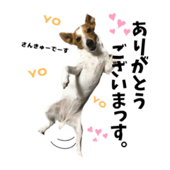 JRT Kokoro chan