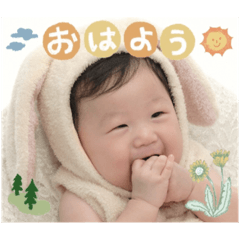 Aoi_20230904143537