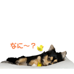 hana_20230904143921