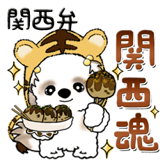 Shih Tzu dog (Kansai dialect)