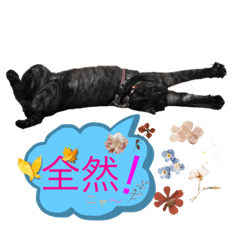 Suzu_20230904162052