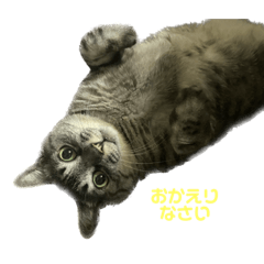 mayty_20230904181045