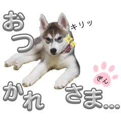 KoaraNoYome_20230904145845