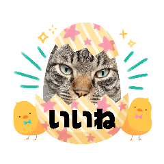 roko_20230904165034an