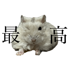 kana_20230904172851