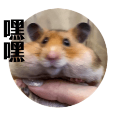 叛逆小童 LUMI