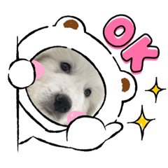 kana_20230904215553