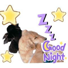 junjun_20230904213000