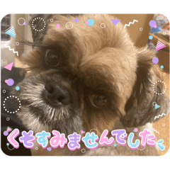 Kana_20230904232129