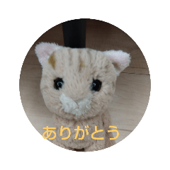 tom_20230904202536